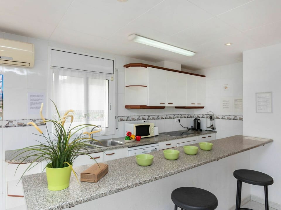Countertop, Cabinetry, Property, Building, Kitchen, Plant, Kitchen Appliance, Sink, Houseplant, Tap