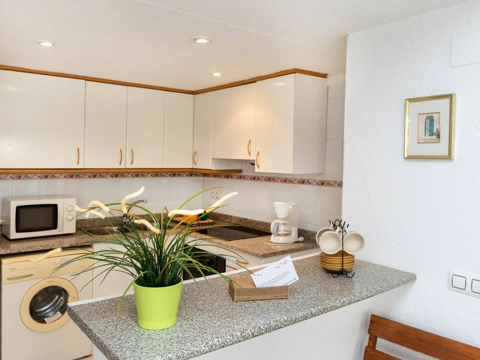 Countertop, Property, Cabinetry, Tap, Plant, Sink, Flowerpot, Houseplant, Flower, Interior Design