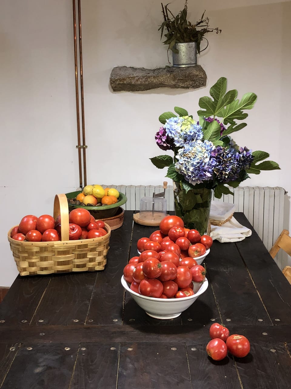 bio products from the vegetable garden