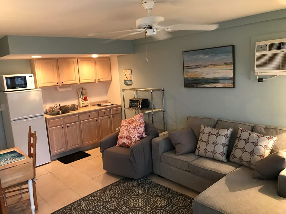 Livingroom and kitchen