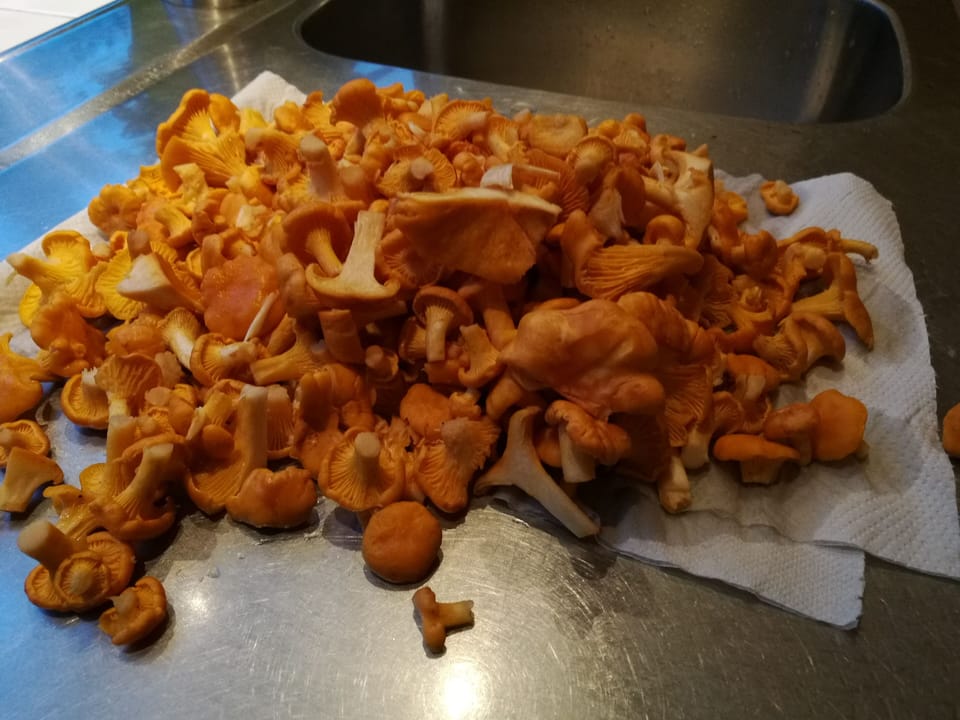Food and drink