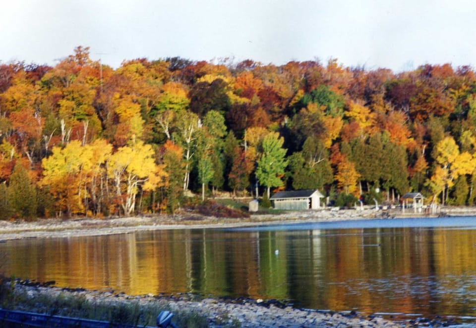 Fall colors view from shore