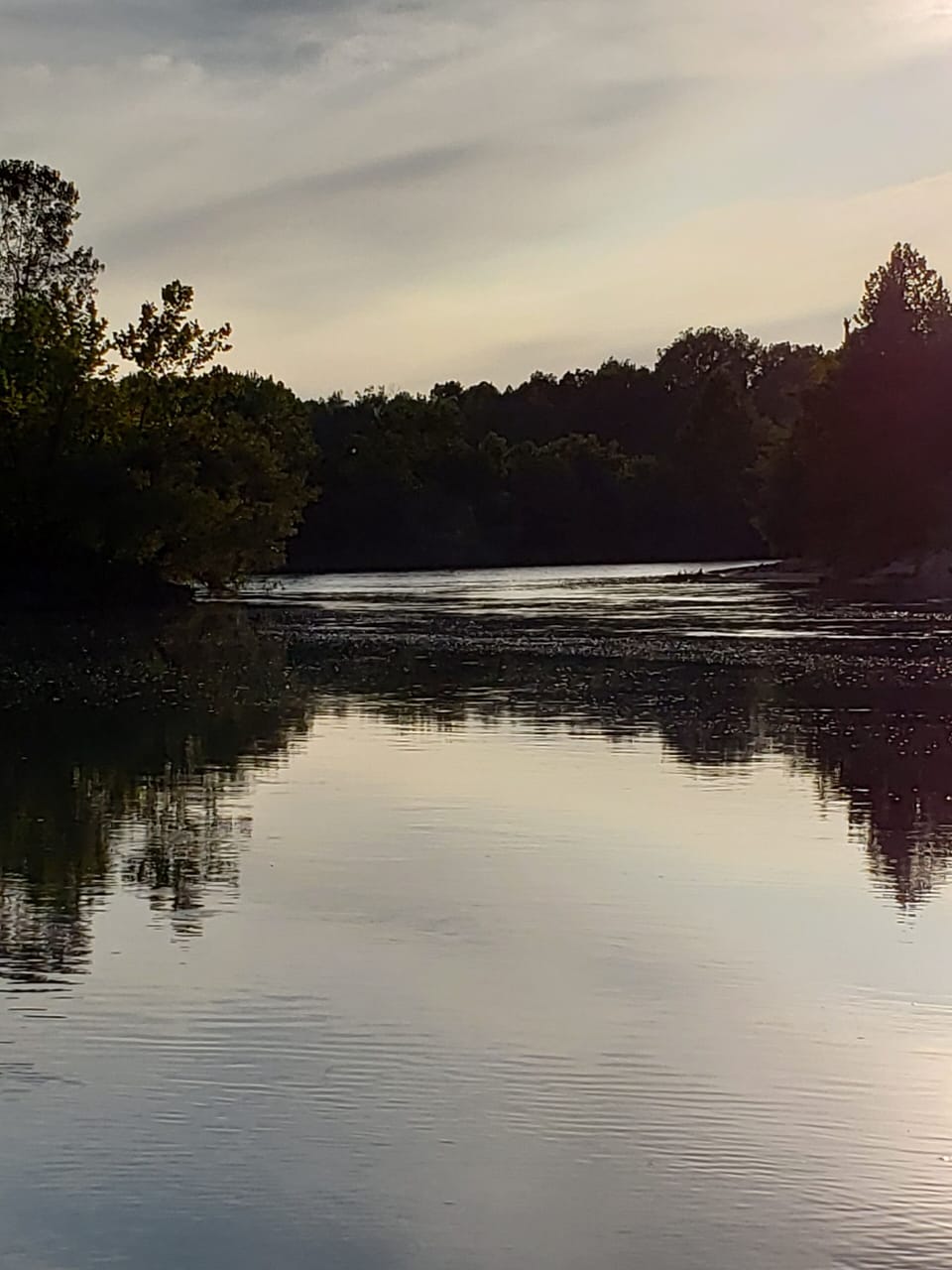 View up river off gravel bar.  So peaceful.
