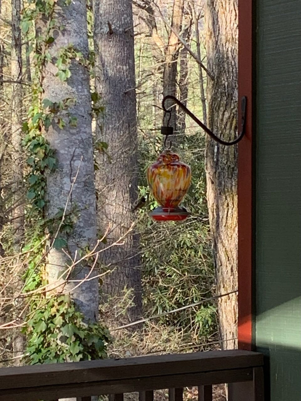 View from property