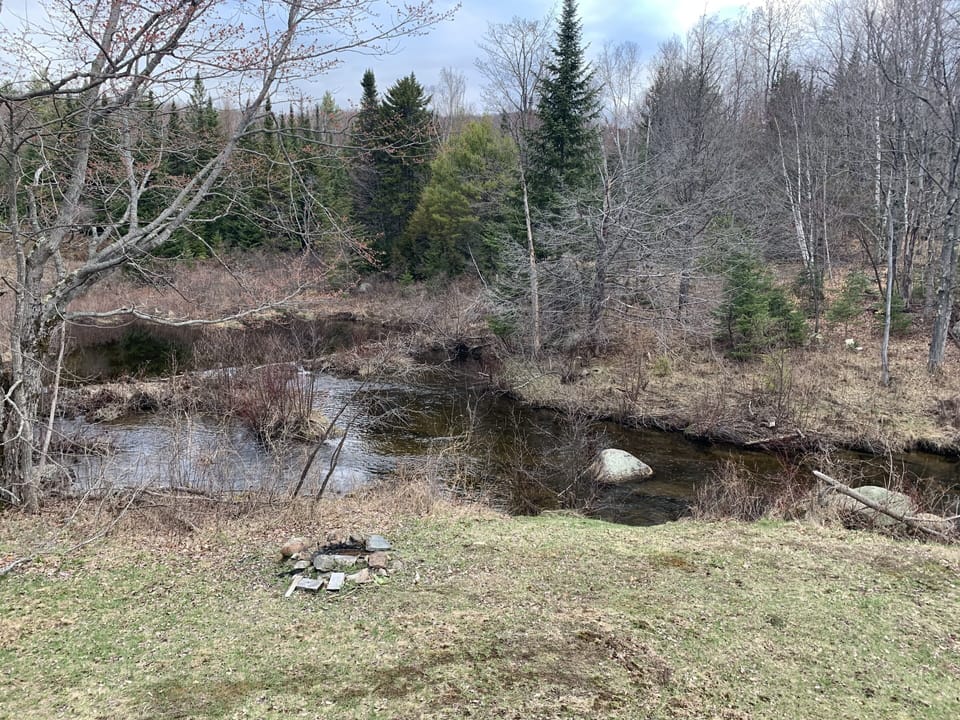 Fire Pit / Back Yard