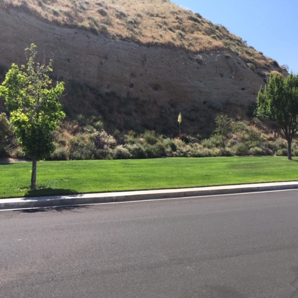 Only greenbelt across the street.
