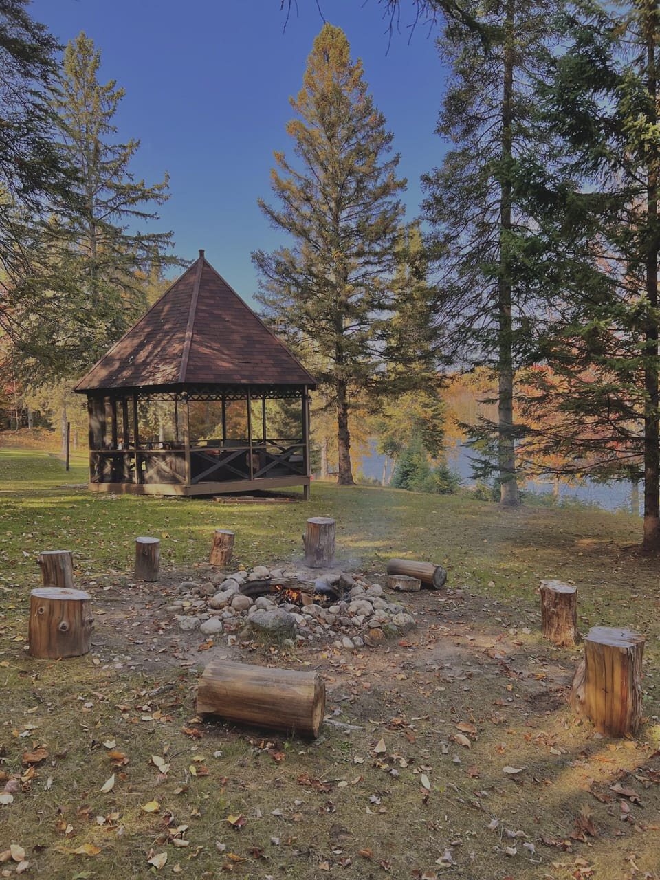 Gazebo & large fire pit with seating!
