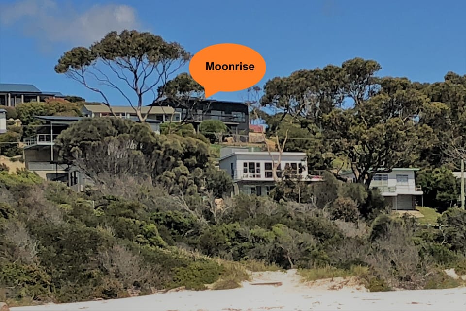 Moonrise from the water