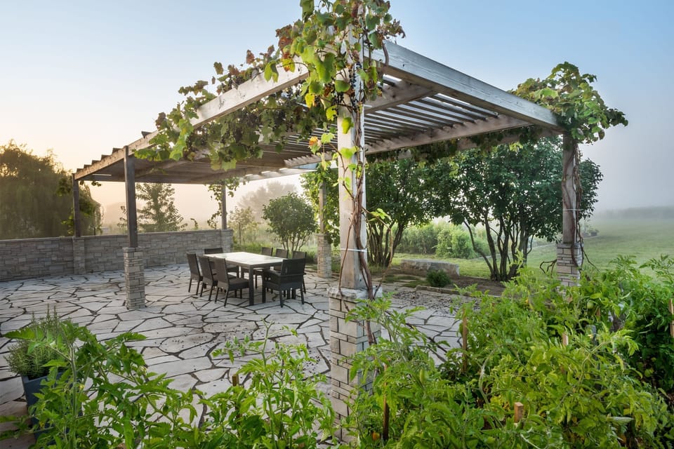 Outdoor dining with barbeque