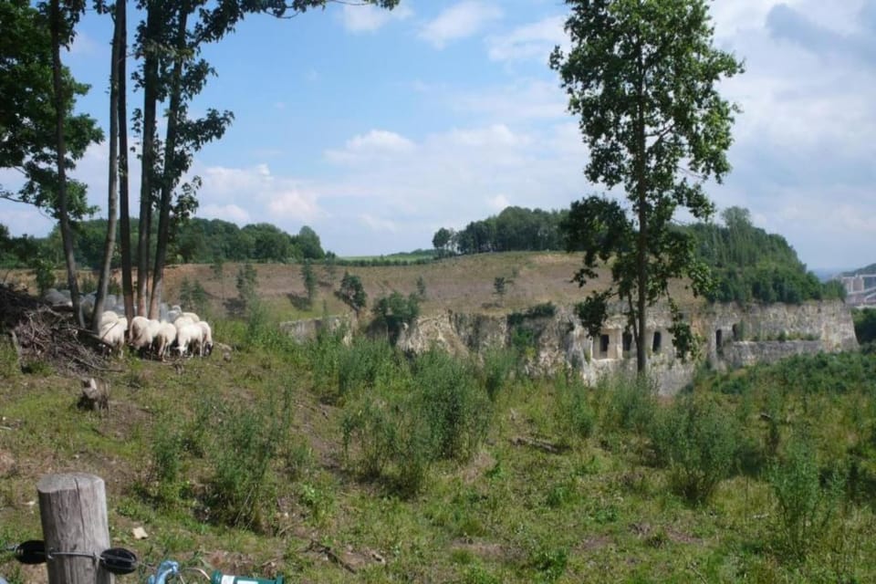 Region [summer] (>5 km)