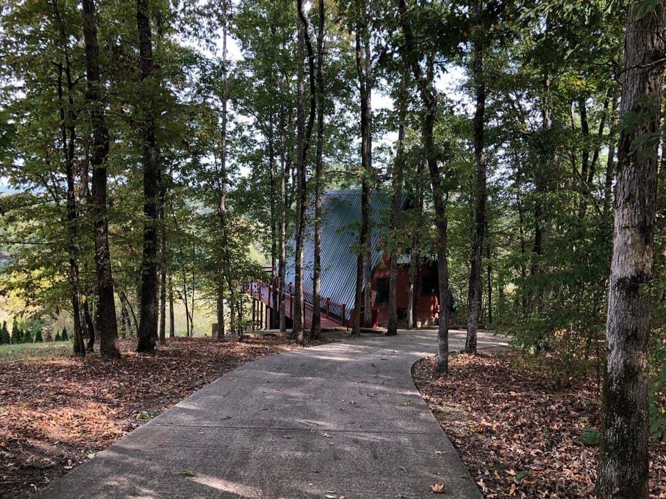 driveway down to cabin