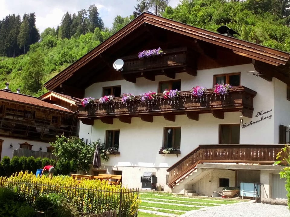 House in Summer - Haus Schnneeberg