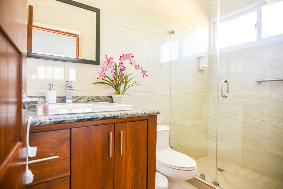 Bathroom #2 With: Shower, Toilet, Mirror, Towels, Faucet, Soaps, hair dryer