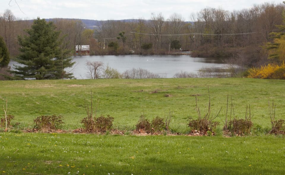 5 Acre Lake