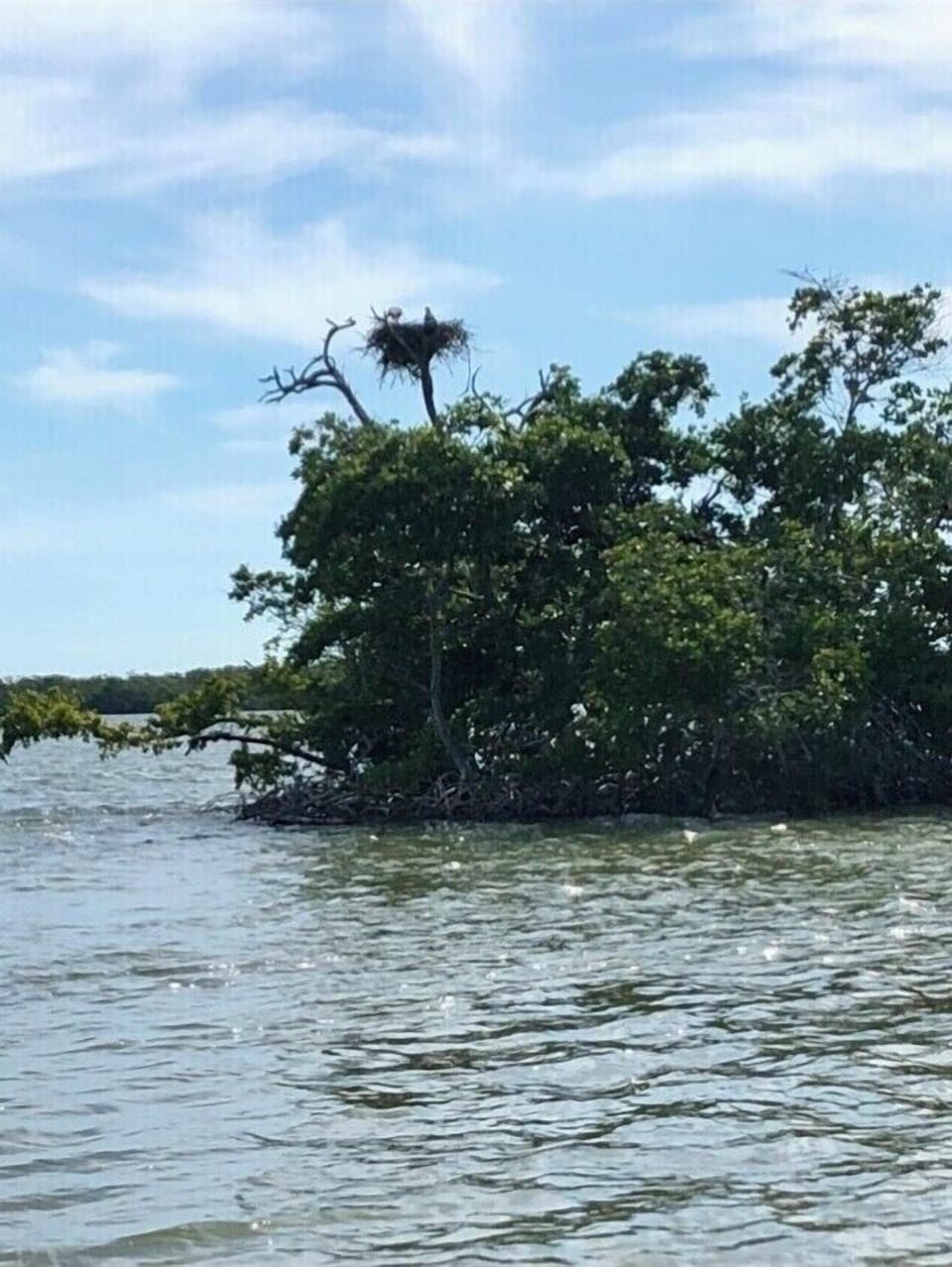 We can suggest scenic boat tours and fishing guides 