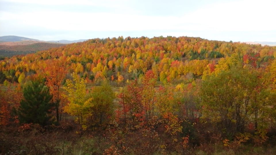 Clarksville fall foliage. Late Sept, early Oct(Not a view from the cabin-sorry)
