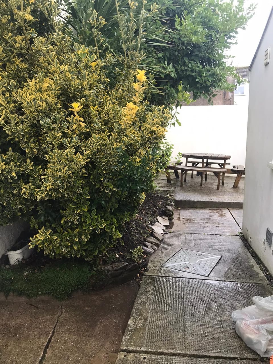 Private courtyard garden