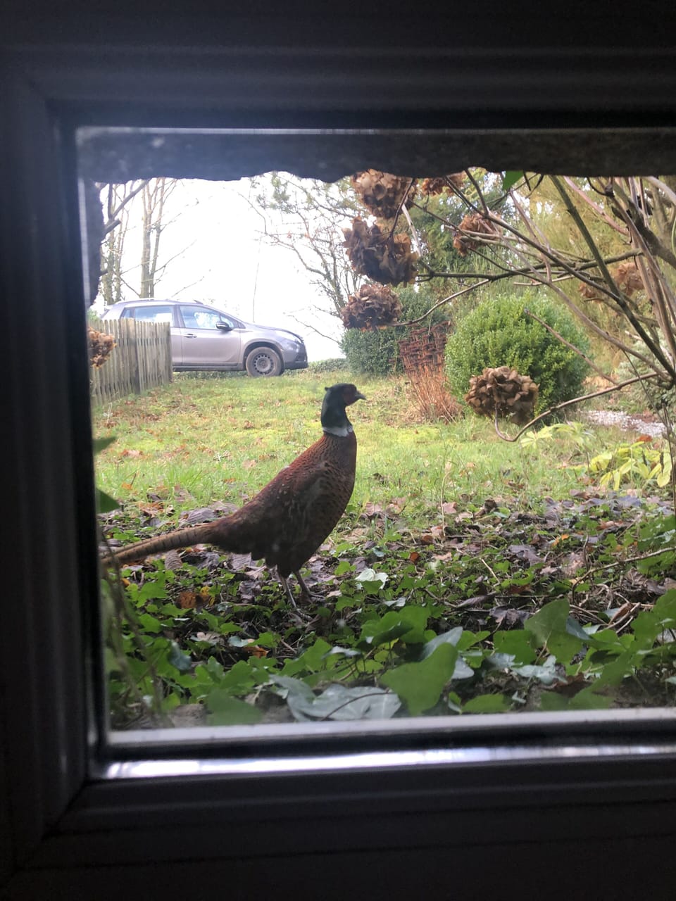View from property