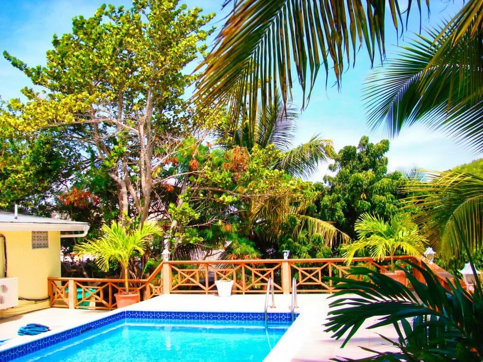Landscaped garden around pool.