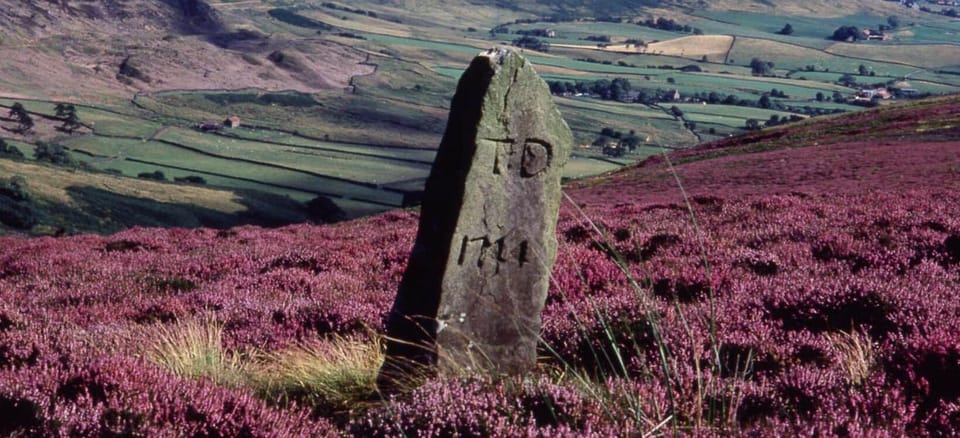 The moors