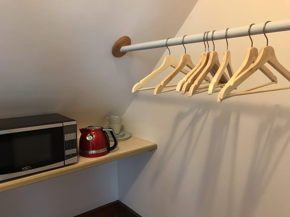 closet with hanging space
