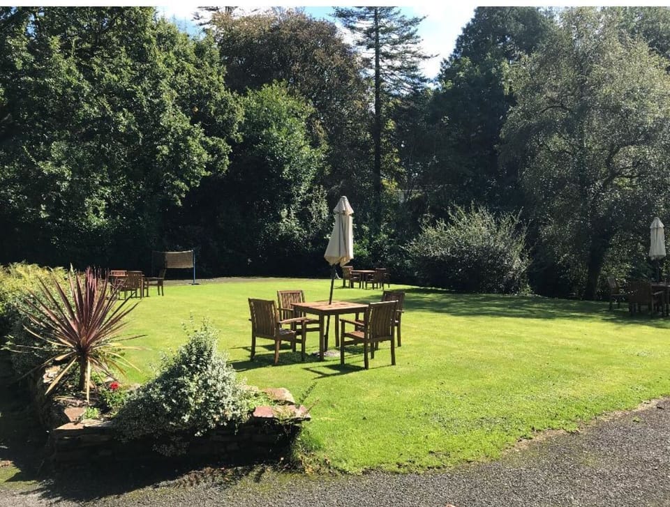 Back Garden