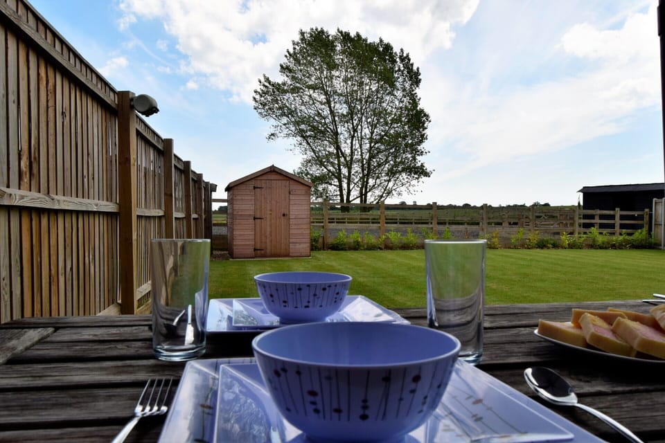Back Garden