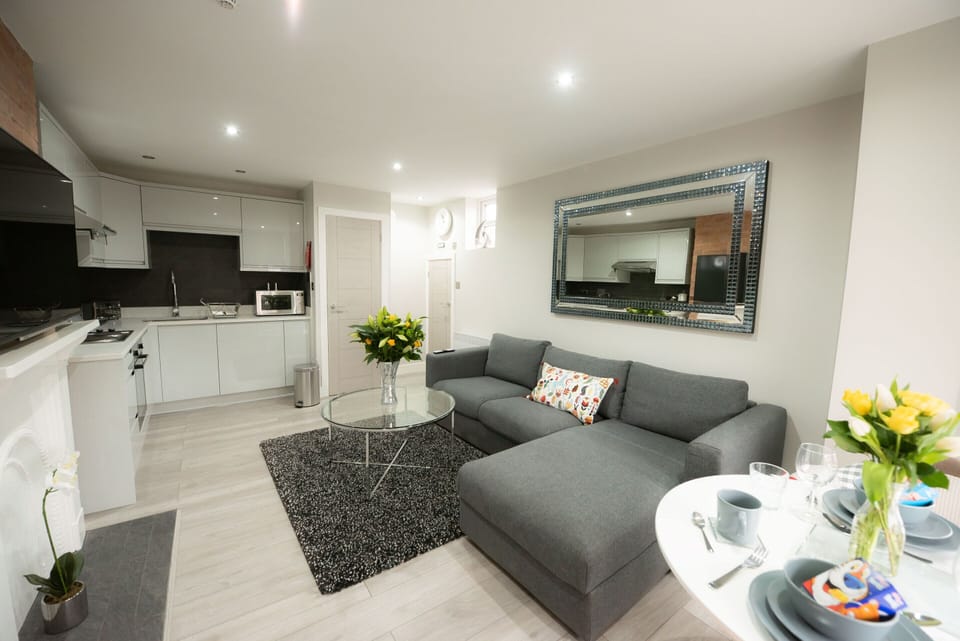 Superior Apartment - Living Room/Kitchen