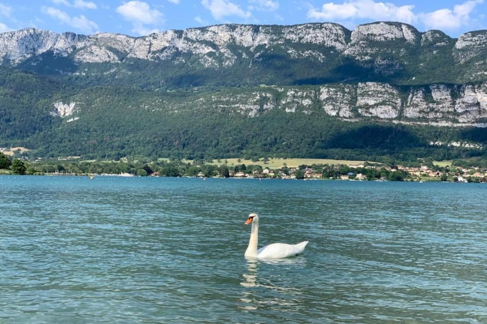Region [summer] (>5 km)