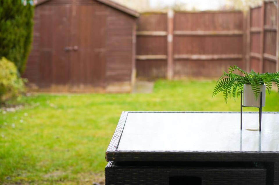 Back Garden