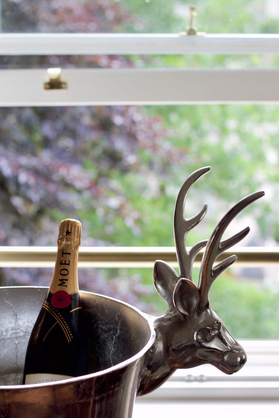 Champagne on ice..