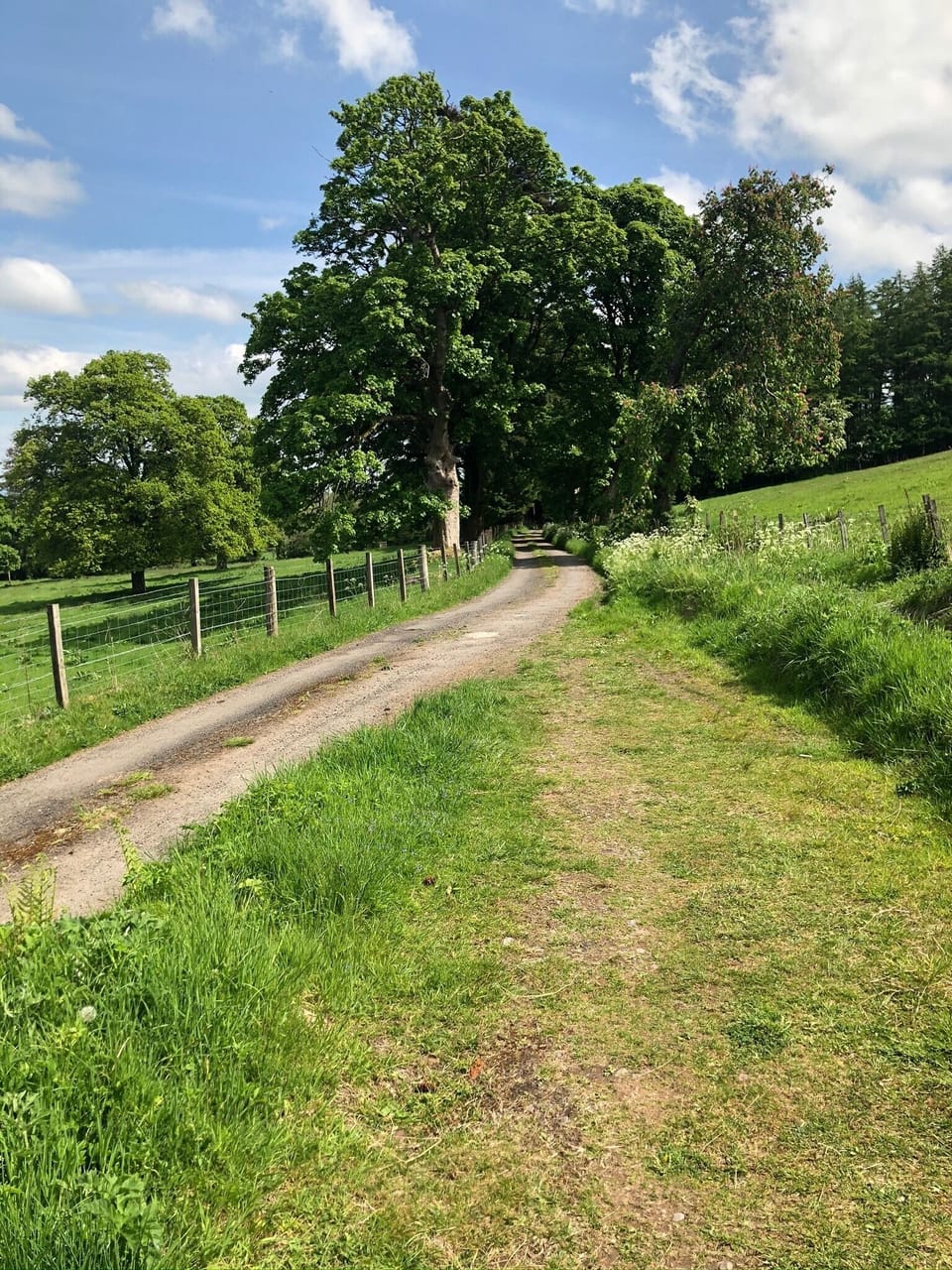 Arngomery drive and public path