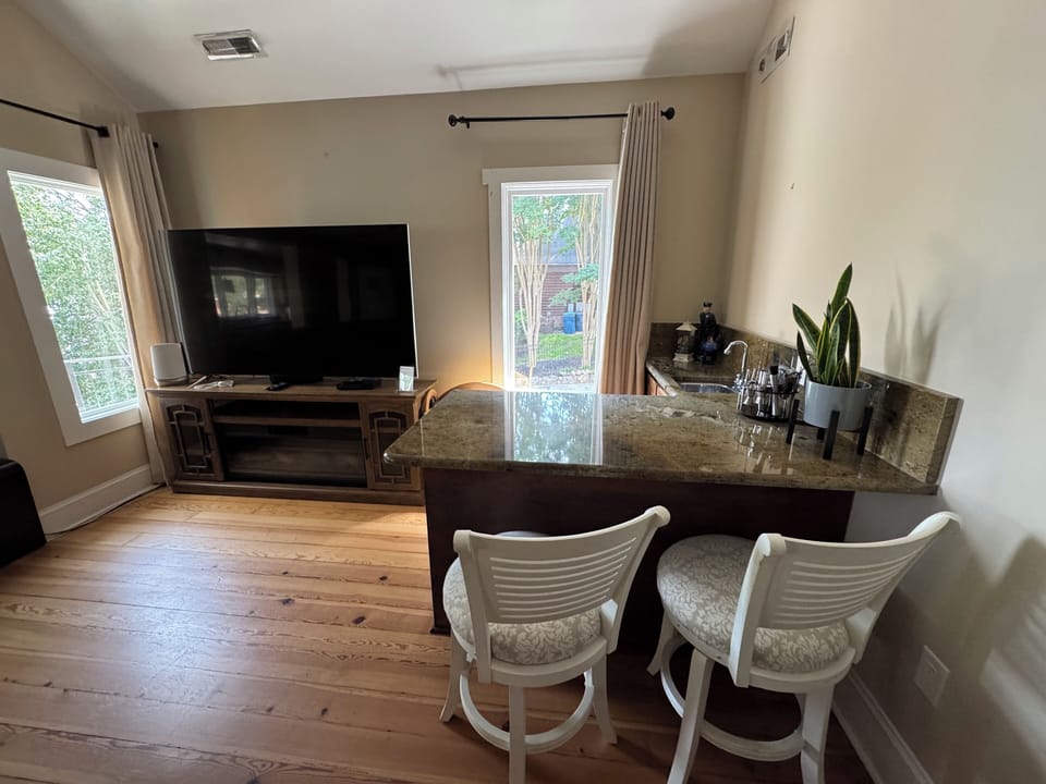 Main living room - TV & bar area with sink & mini fridge.