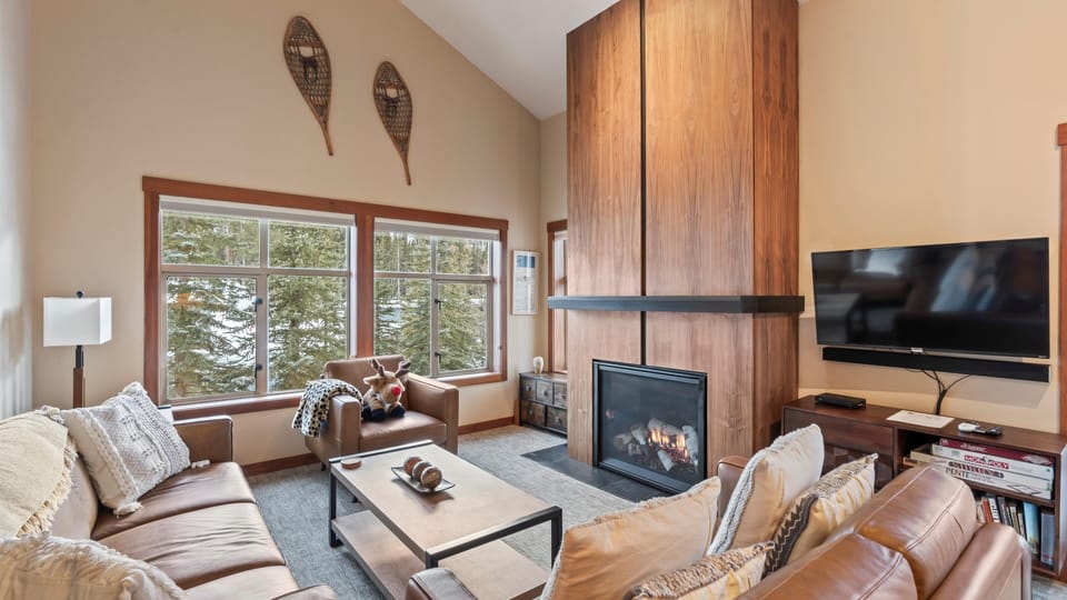 Fireplace is controlled by a thermostat - NetFlix and Spotify on the Roku TV