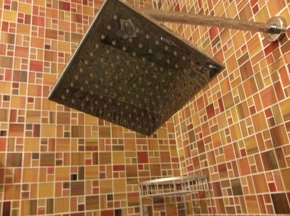 Mosaic tiles in Master bathroom. Large shower sprinkler, feels like rain on you!