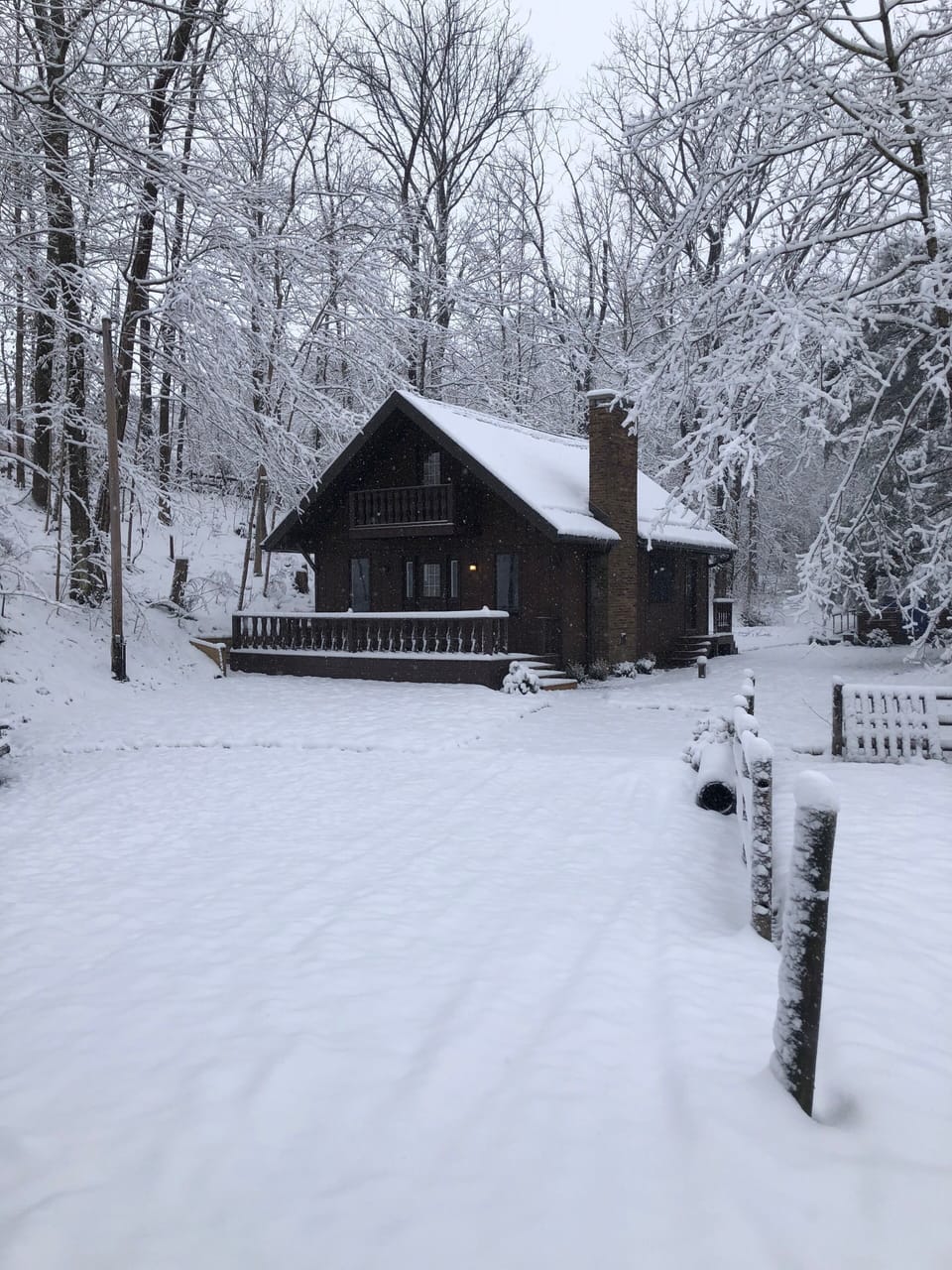 Winter wonderland 