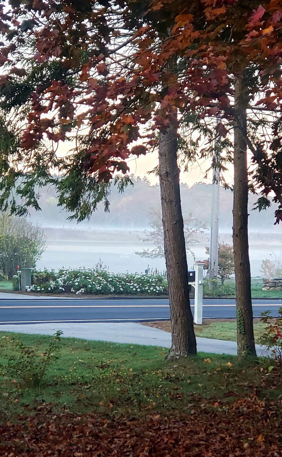 View from the deck at end of October