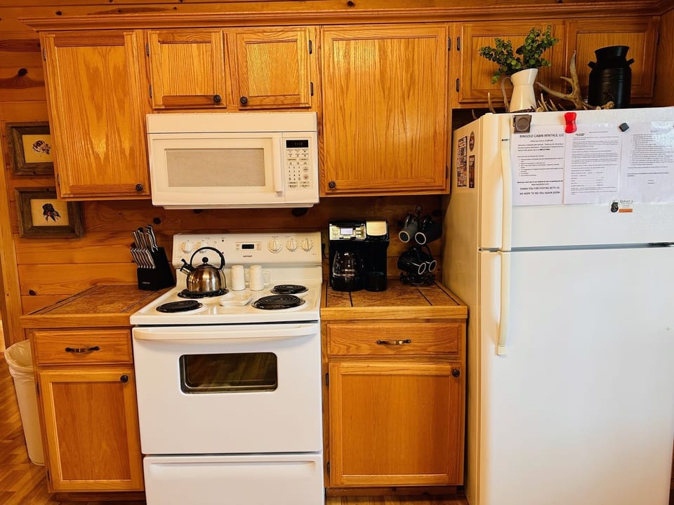 Electric cook stove
