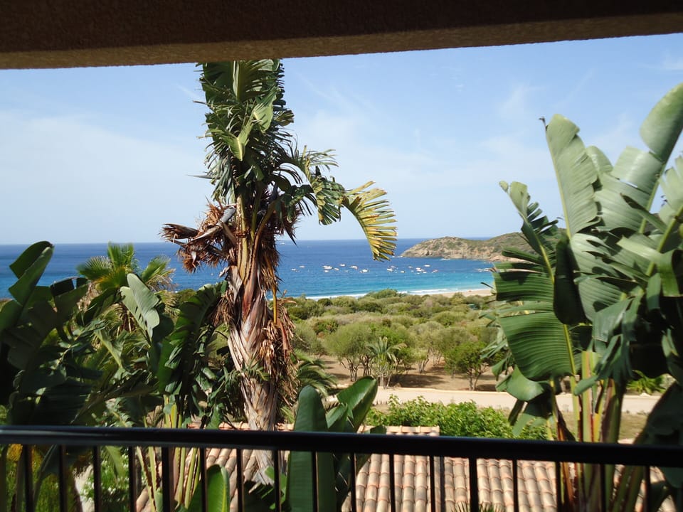 View from T2 Uptairs