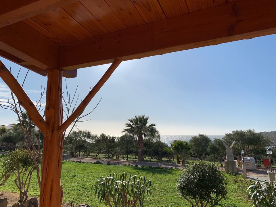 Terrace T2 Ground Floor