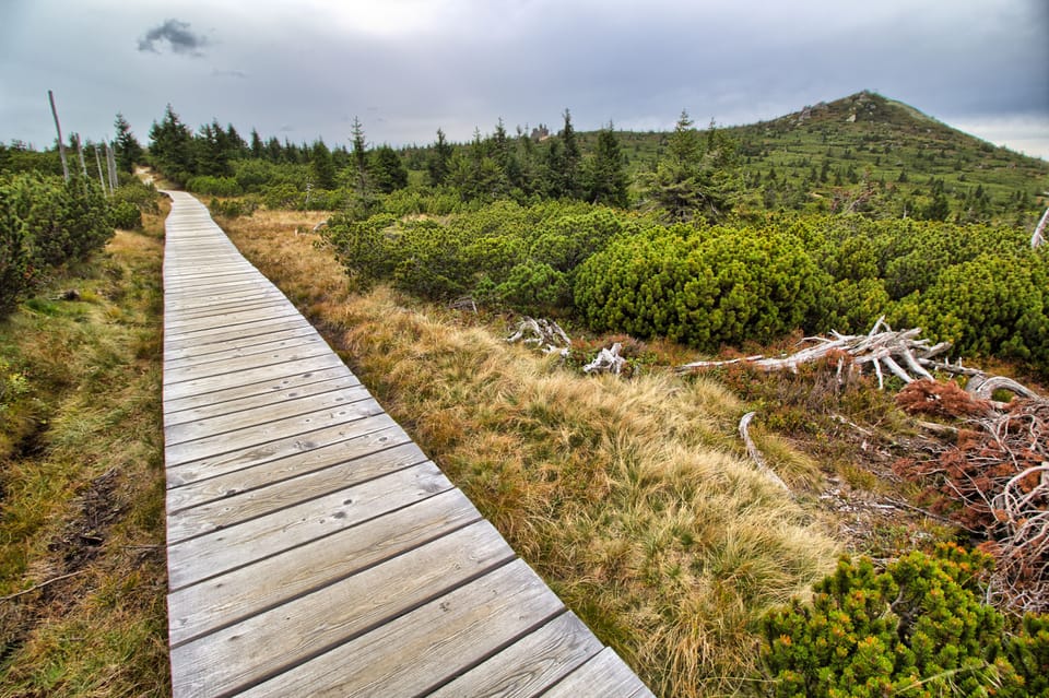 Typical pathway throught Krkonose national park