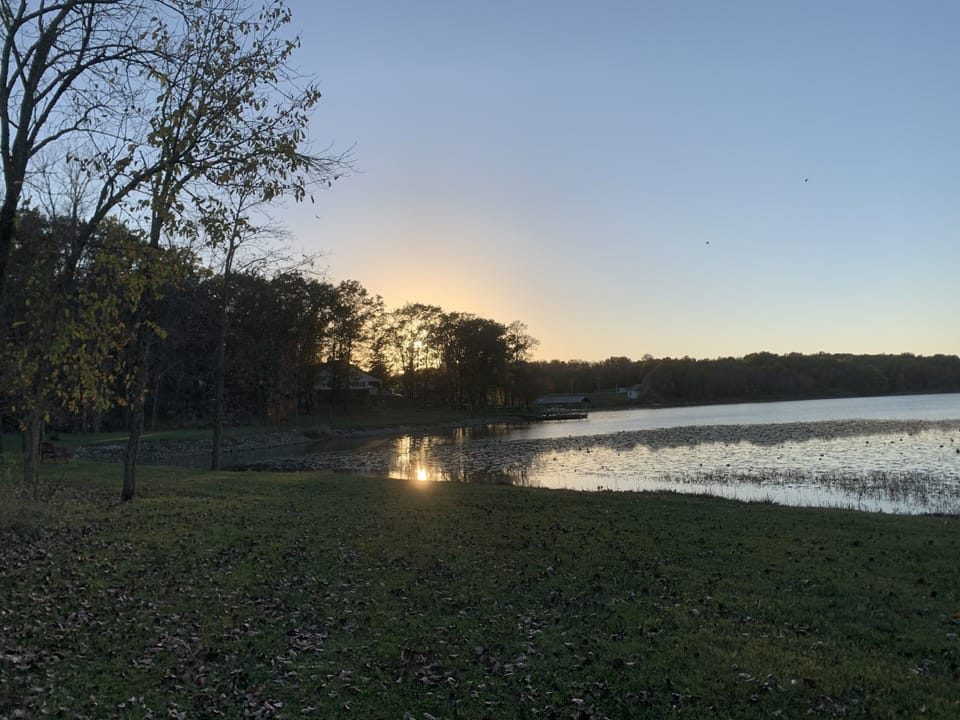 View down the shoreline
