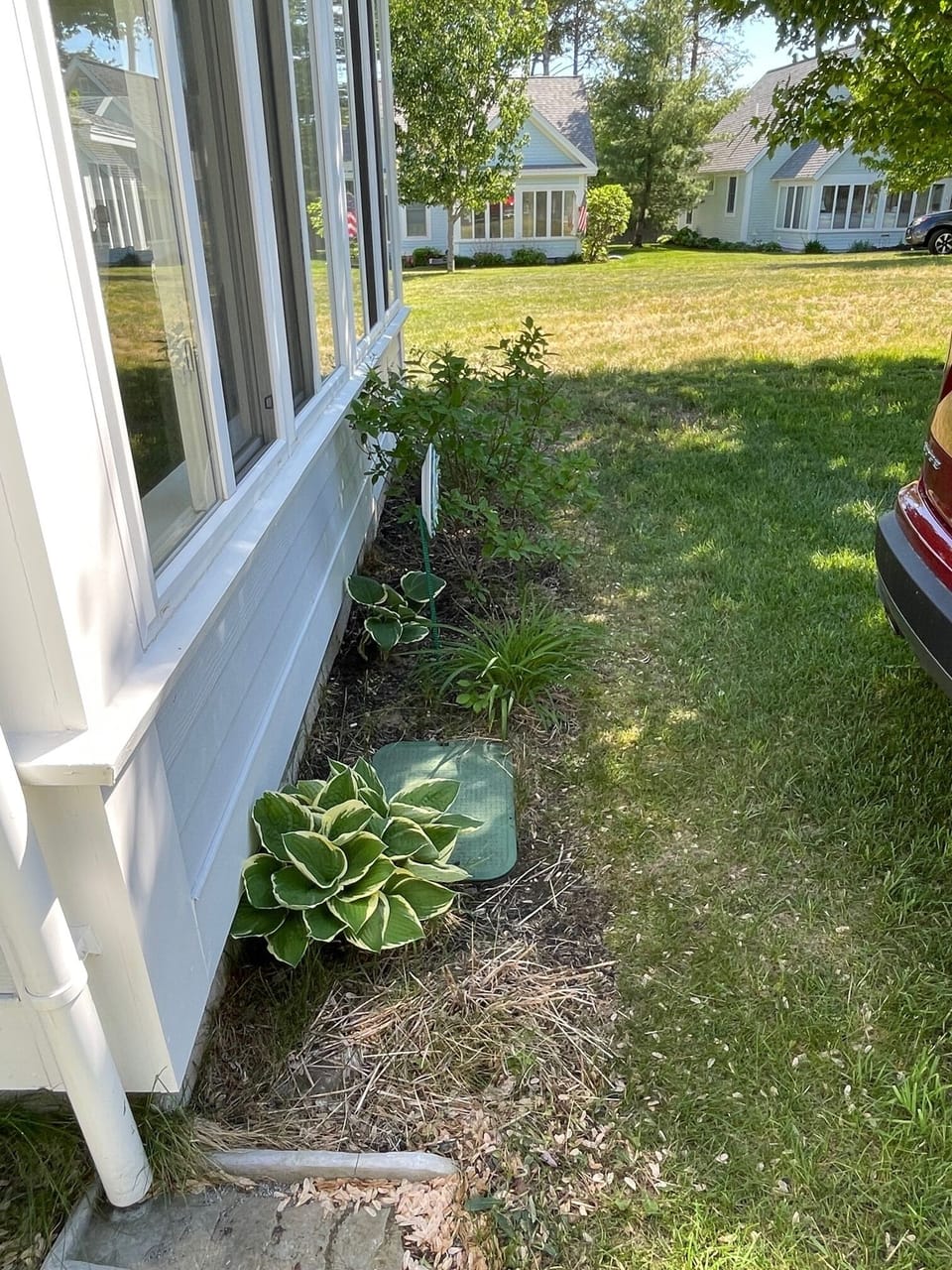 My attempt to garden