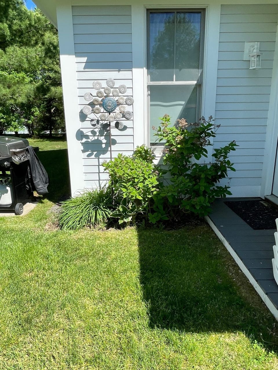 Windspinner at door.