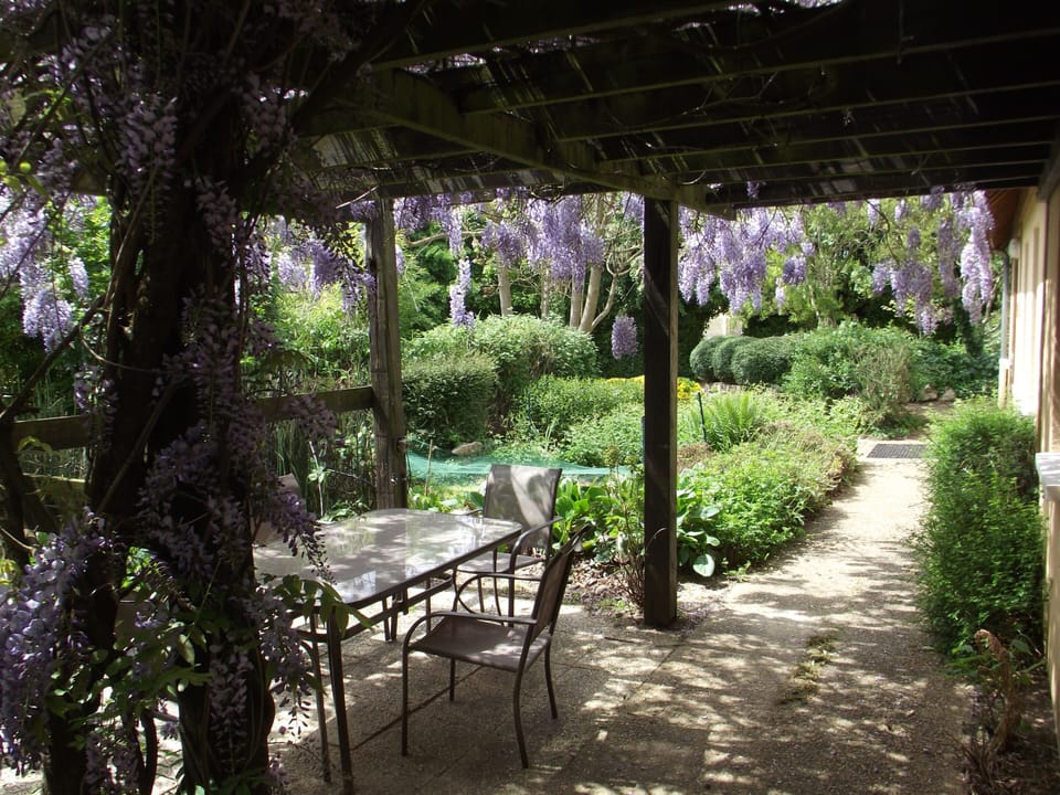 Wisteria Gîte Patio