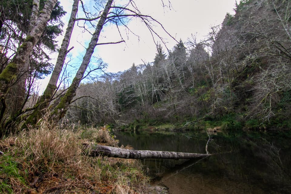 Meander along the path of the Yachats River.