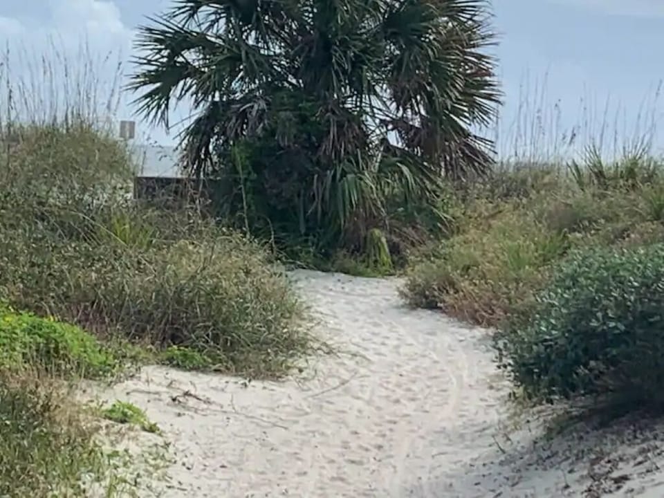 Beach Path