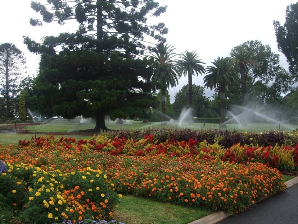 Botanic gardens in Queen's Park (less than 5 minutes walk from Bannockburn Cottage)