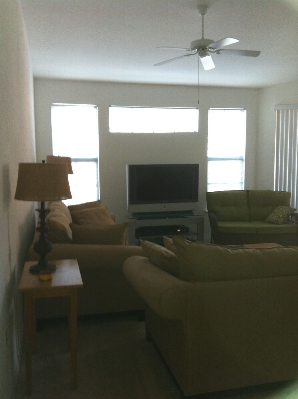 Large living room with two large sofas - one is a pull out.