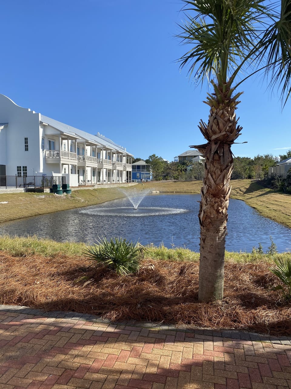 View from side of house